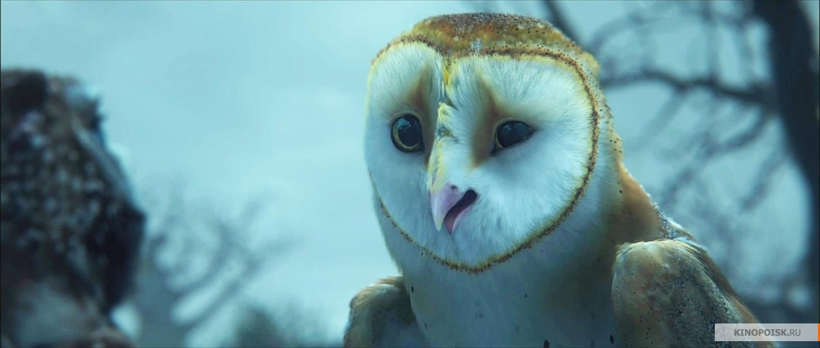 Legend of the Guardians: The Owls of Ga'Hoole