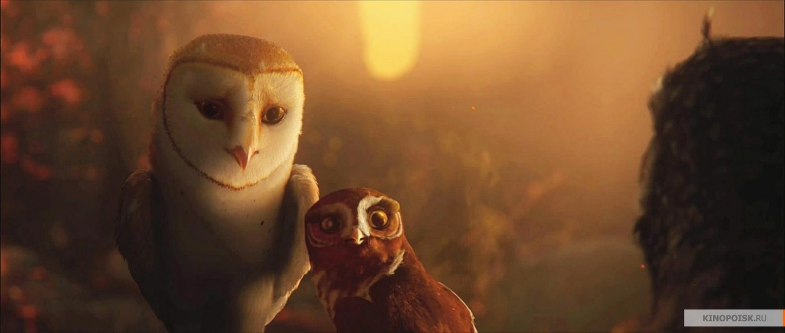 Legend of the Guardians: The Owls of Ga'Hoole