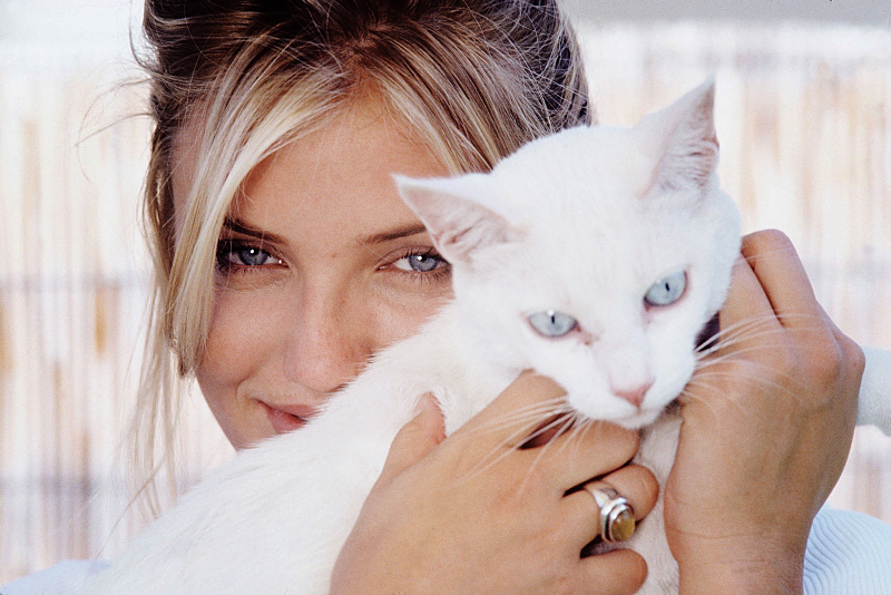 Cameron Diaz