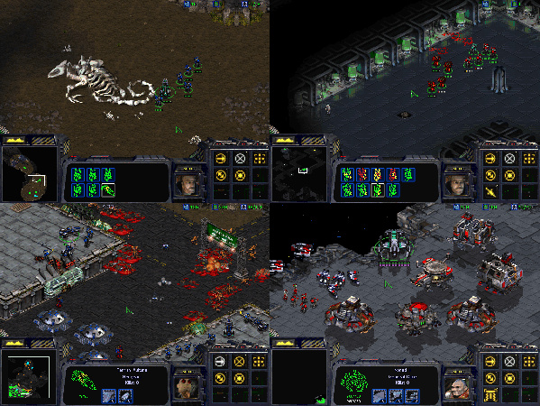 Picture of StarCraft