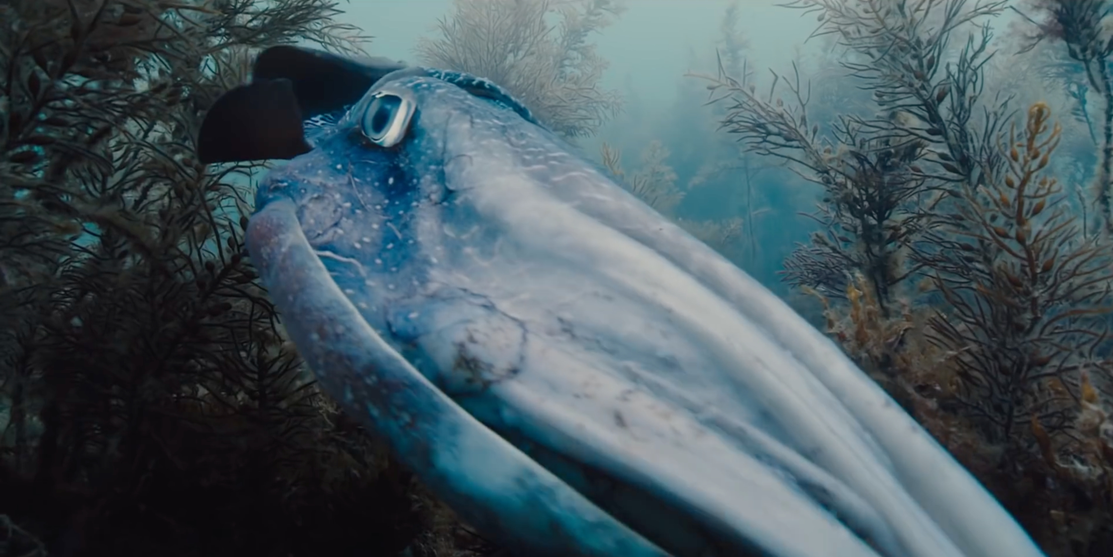 Voyage of Time: Life's Journey