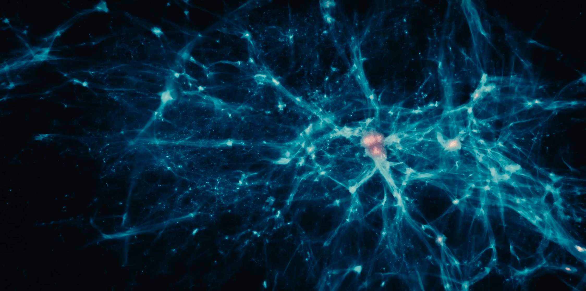 Voyage of Time: Life's Journey