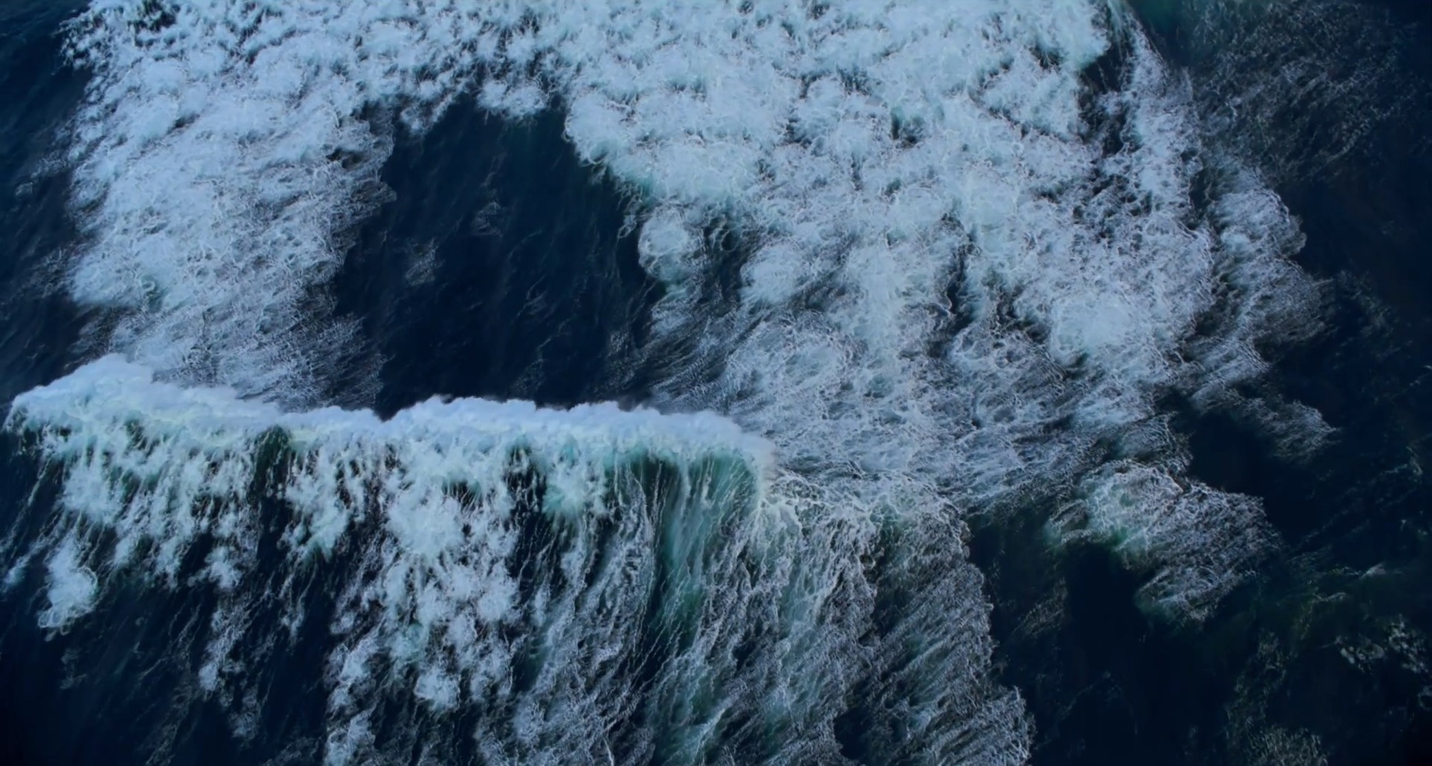 Voyage of Time: Life's Journey