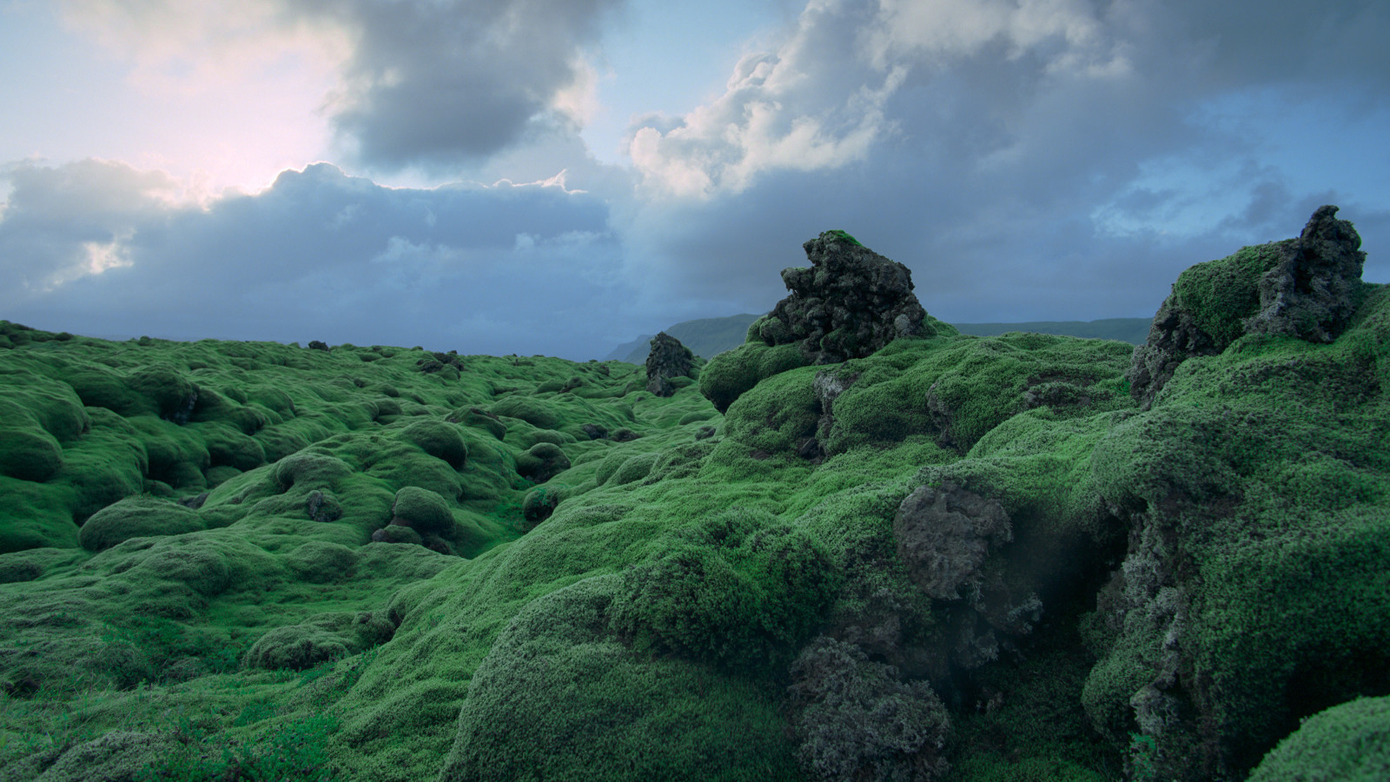 Voyage of Time: Life's Journey