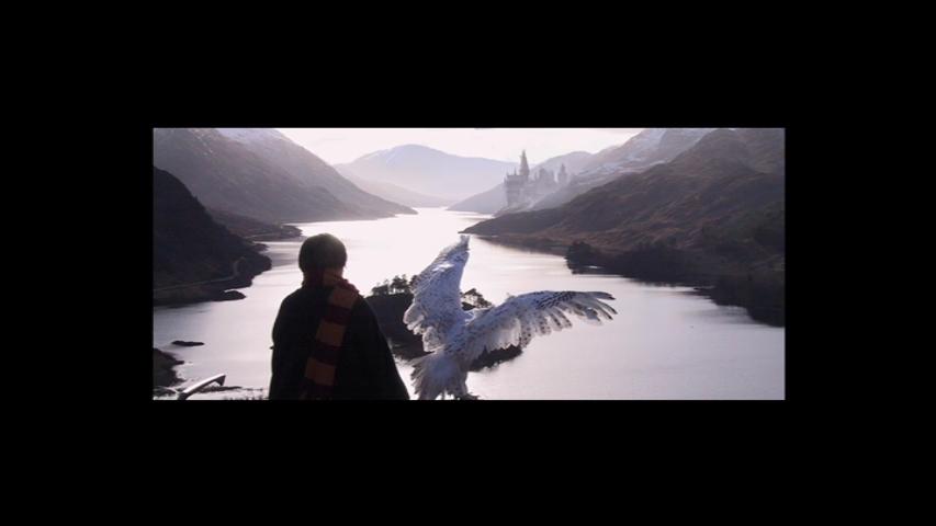 Harry Potter and the Chamber of Secrets