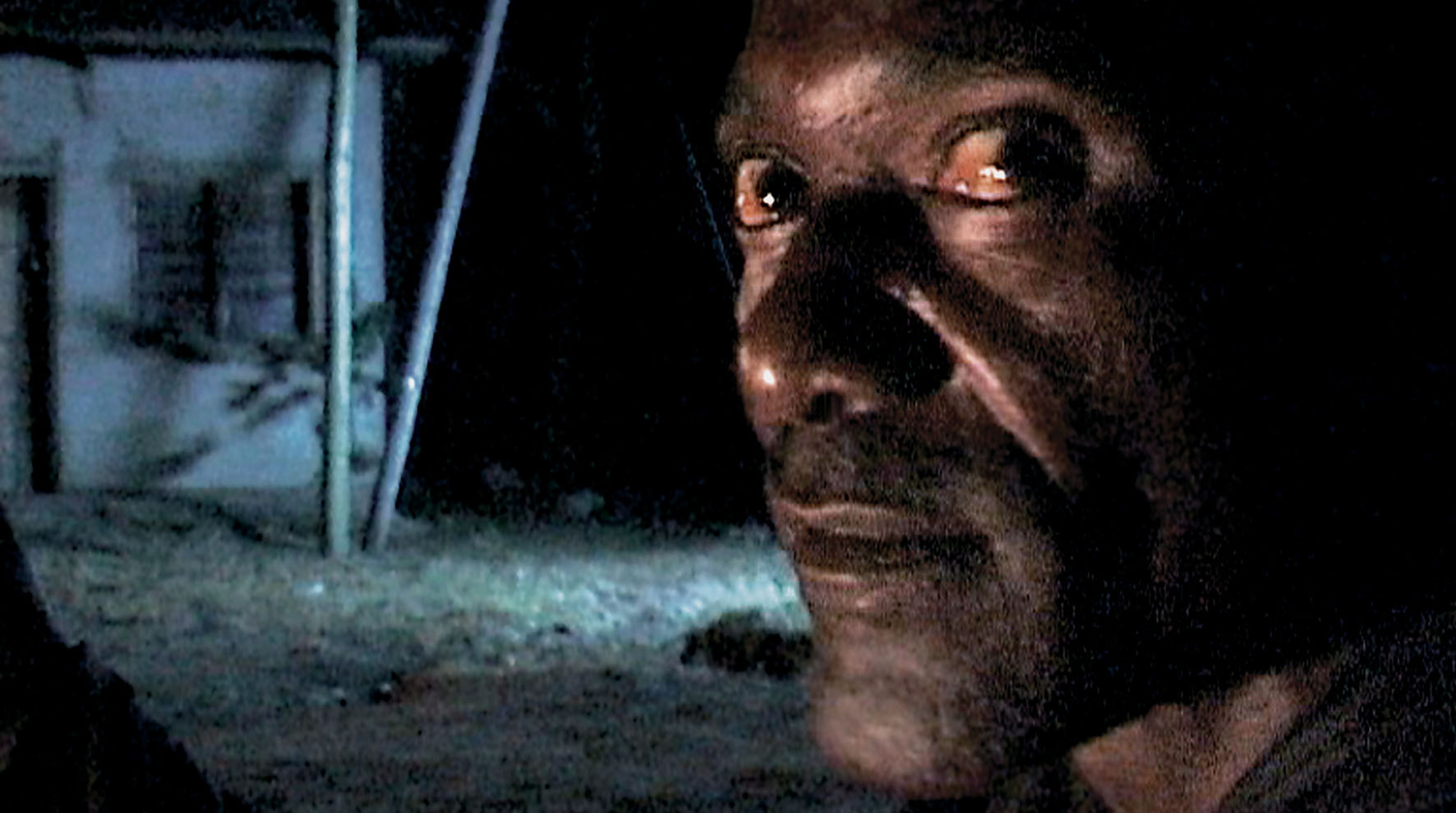 Darwin's Nightmare (2004)
