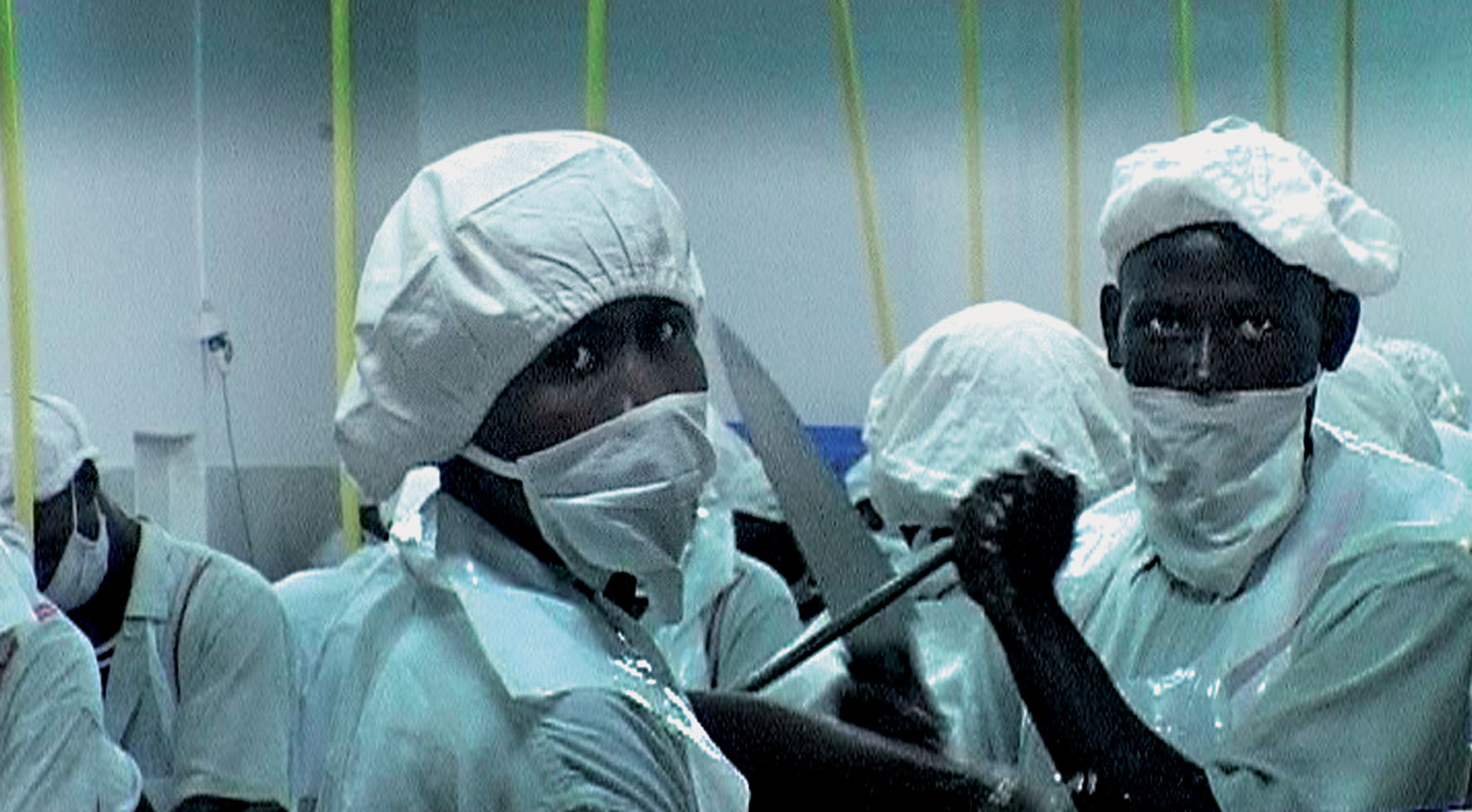 Darwin's Nightmare (2004)
