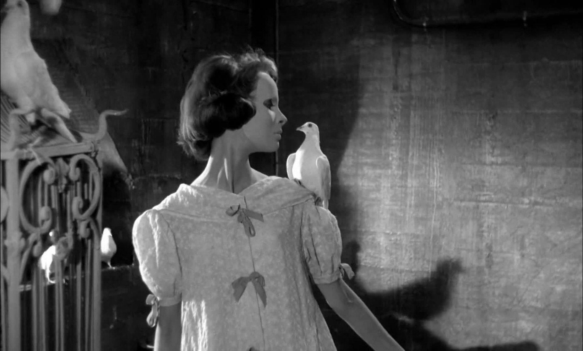 Eyes Without a Face