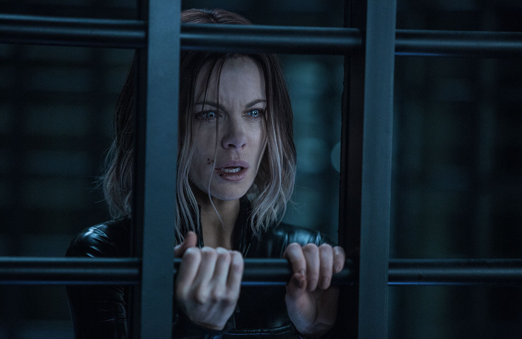 Underworld: Blood Wars Underworld: Blood Wars