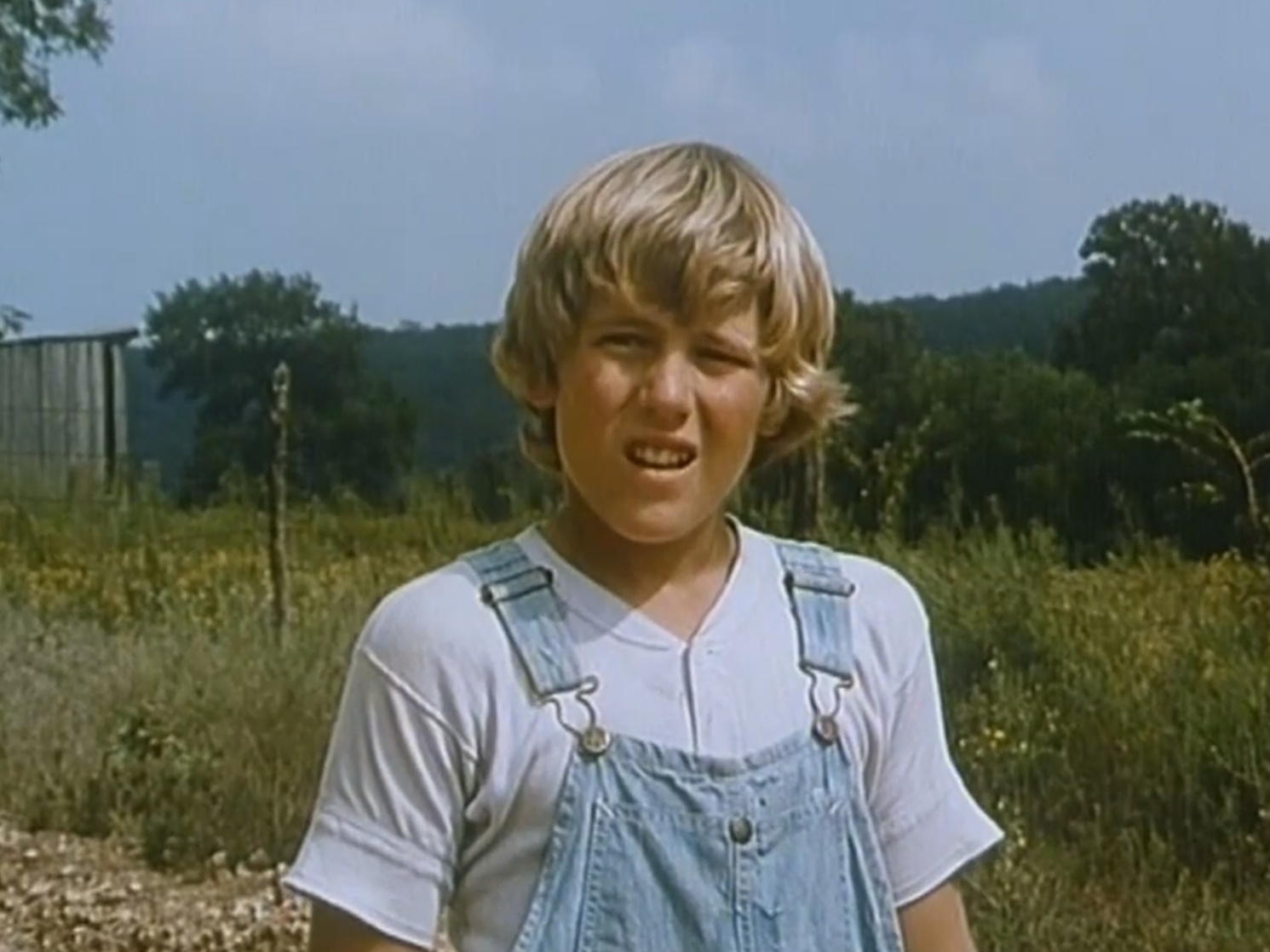 Where the Red Fern Grows (1974) Where the Red Fern Grows (1974)