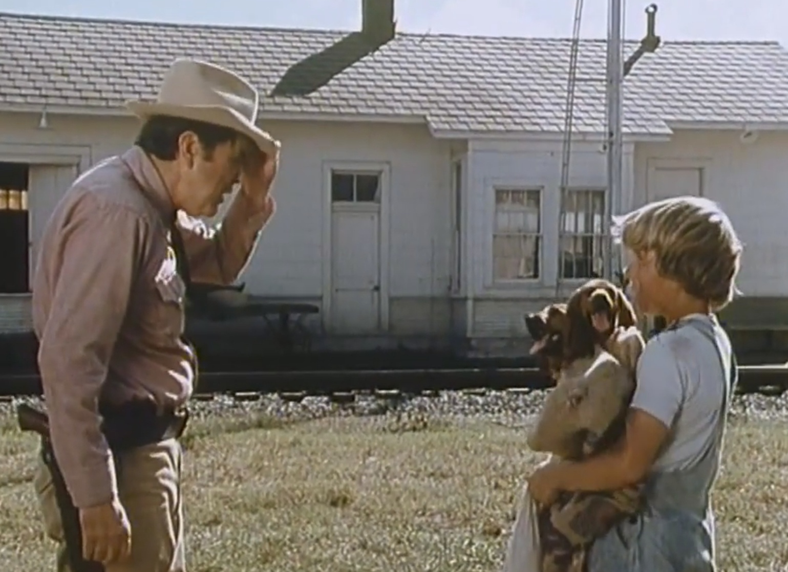 Where Was Where The Red Fern Grows Filmed Where the Red Fern Grows (1974) image