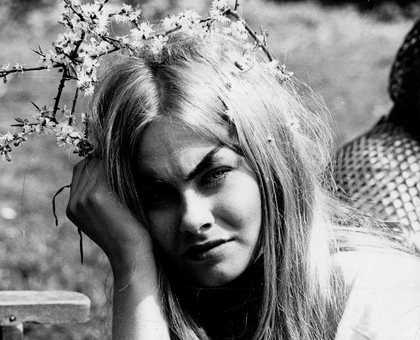 Linda Hayden Linda Hayden