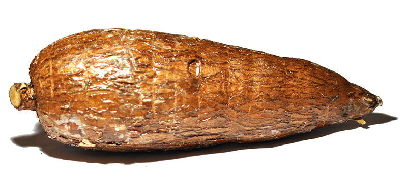 Cassava Cassava