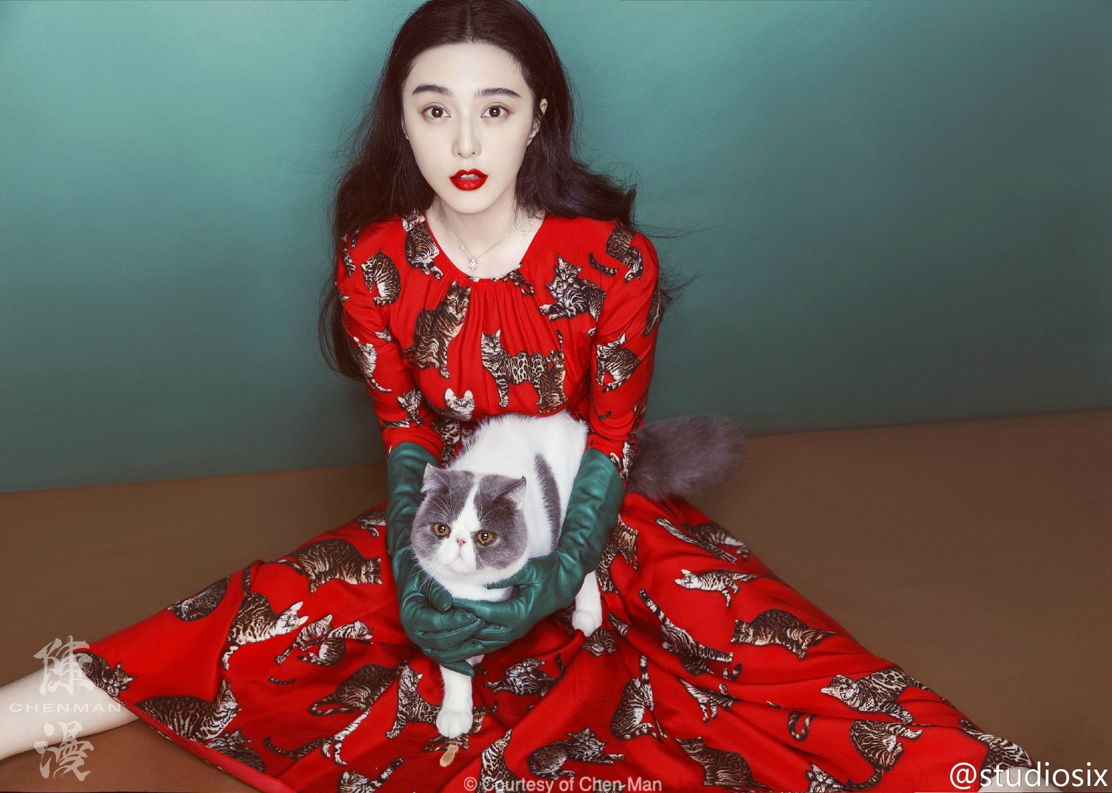 Fan Bing Bing