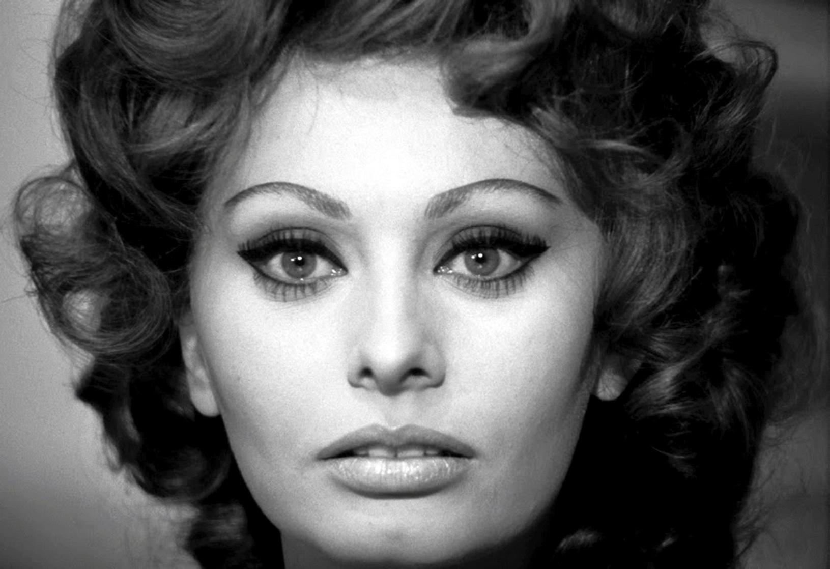Sophia Loren Sophia Loren