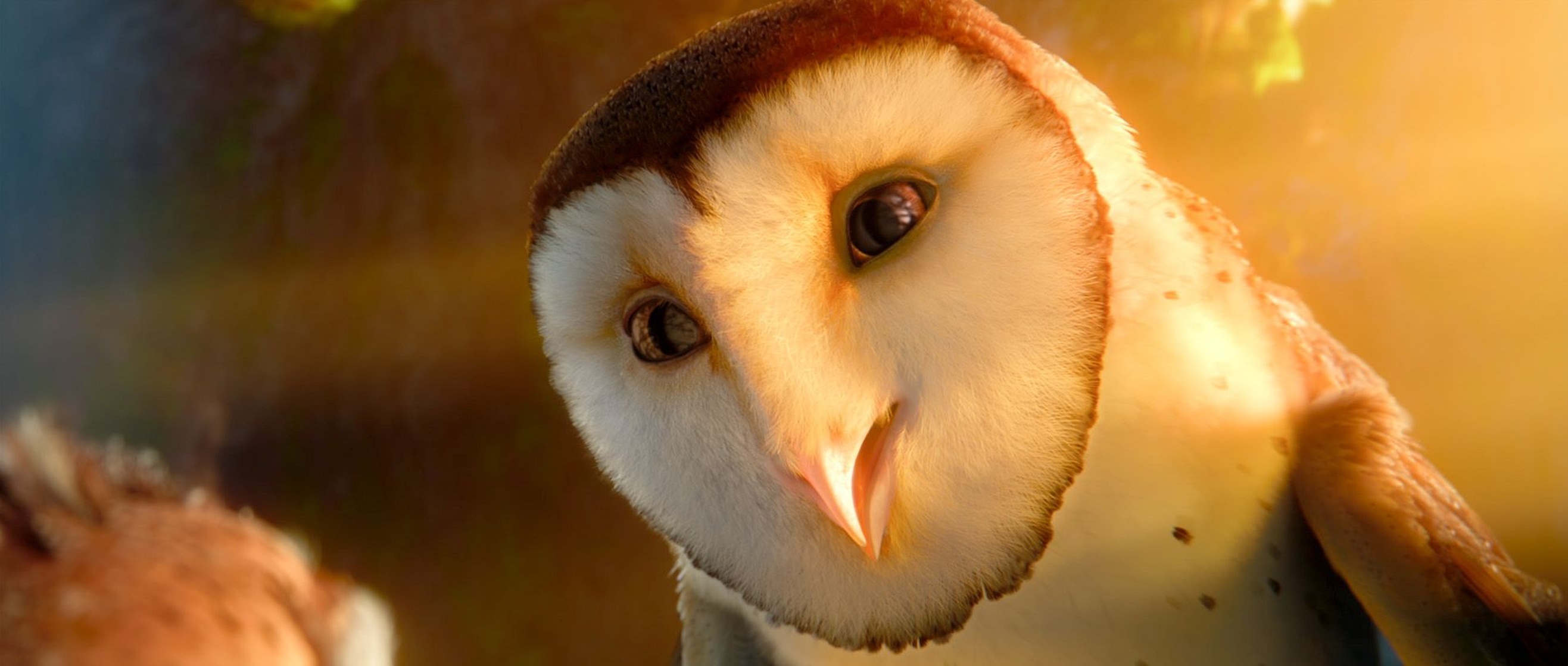 Legend of the Guardians: The Owls of Ga'Hoole