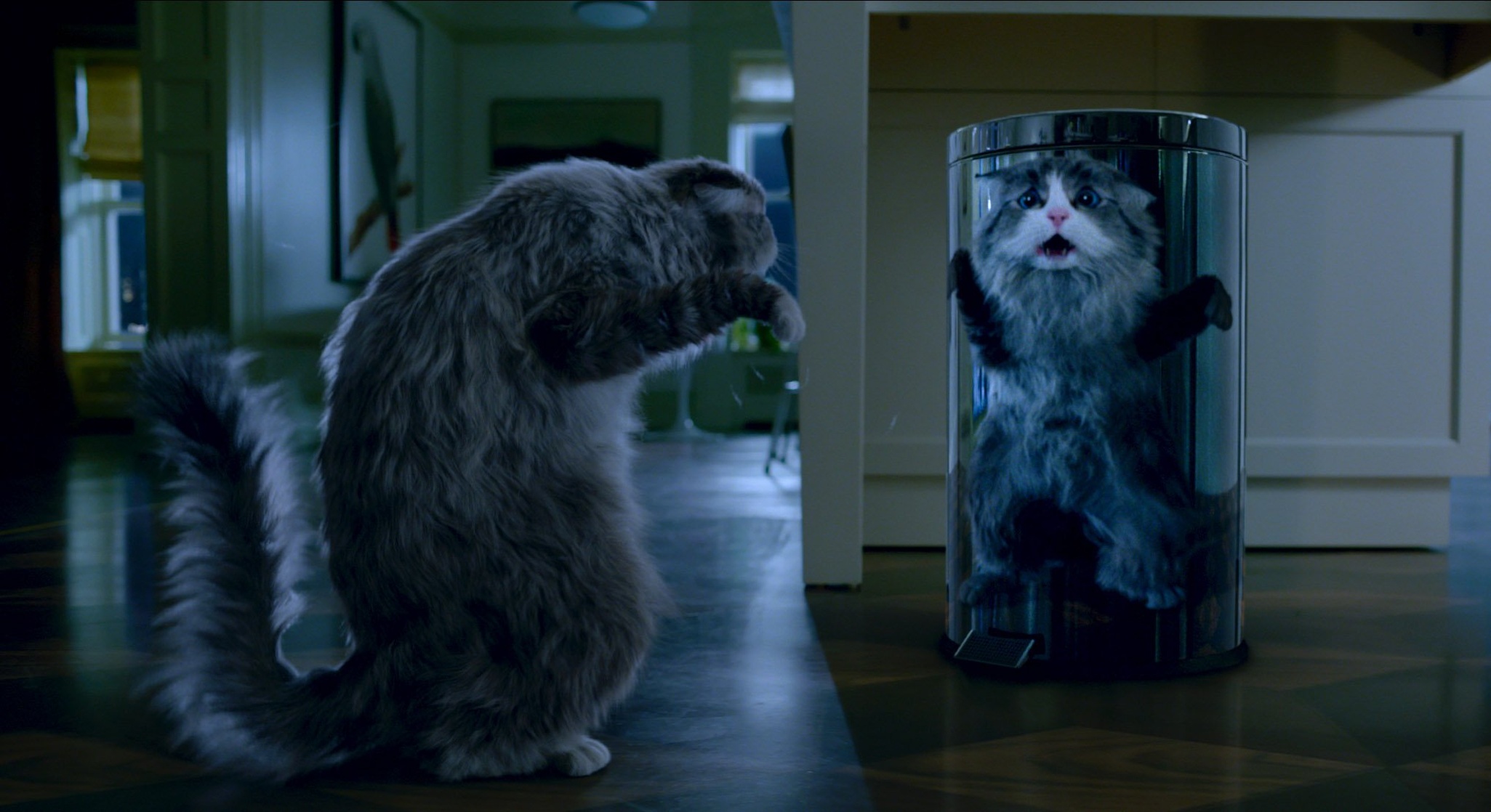 Nine Lives Nine Lives