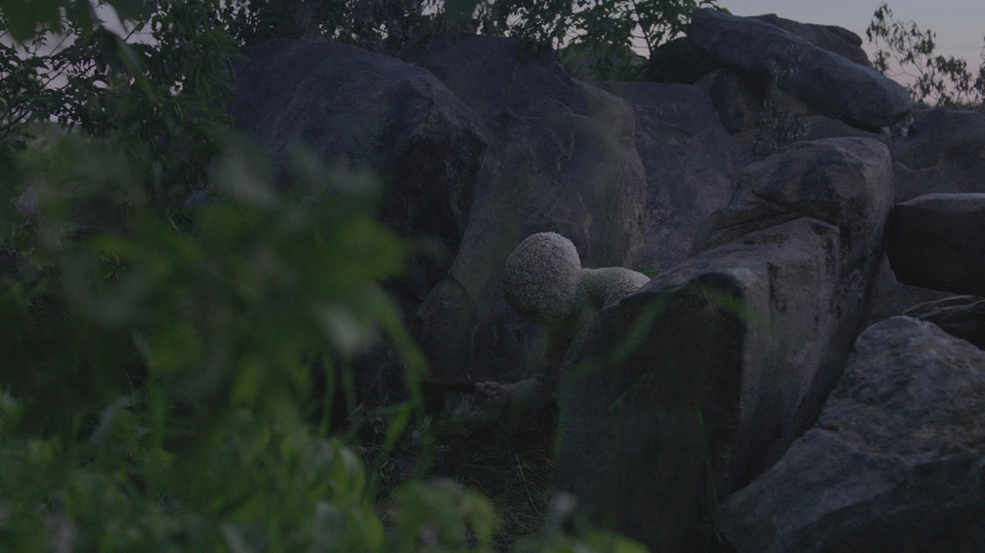 Channel Zero