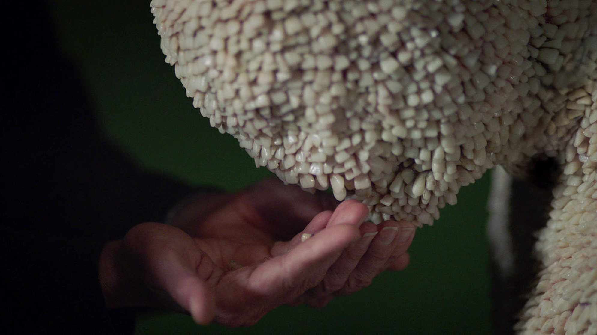 Channel Zero