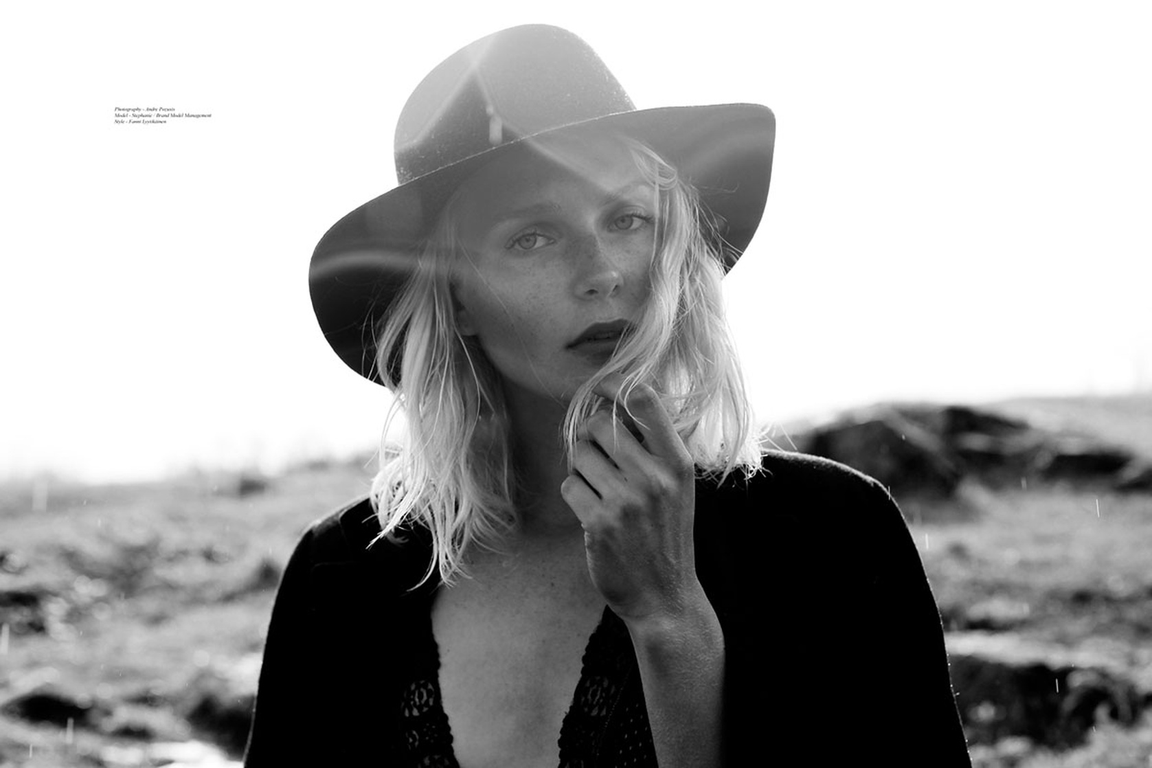 Steffi Cook