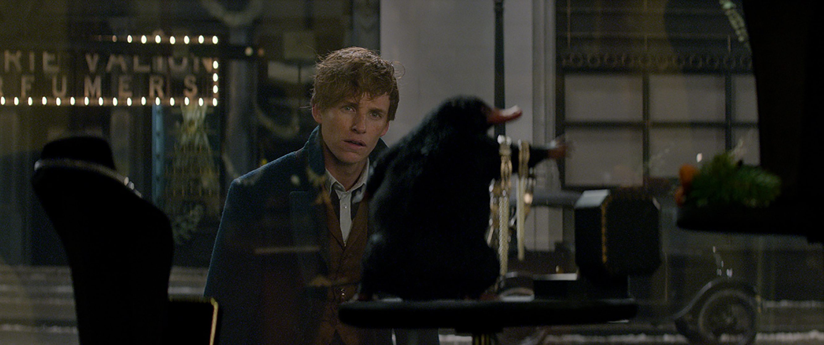 Fantastic Beasts and Where to Find Them