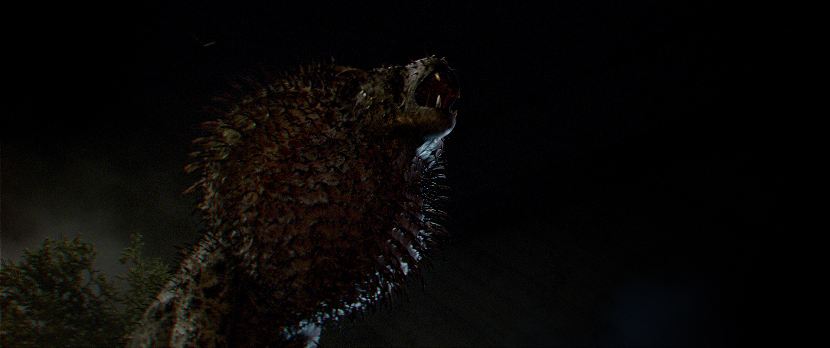 Image of Fantastic Beasts and Where to Find Them