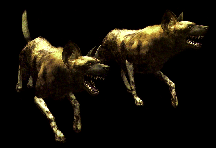 Resident Evil 5