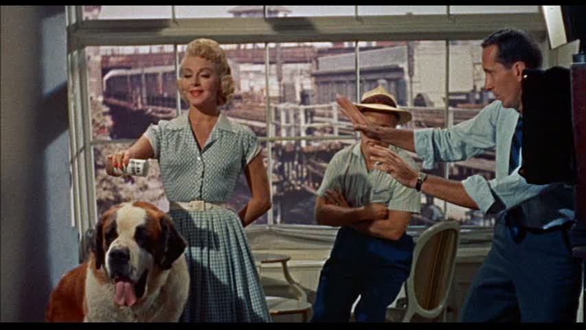 Imitation of Life (1959)