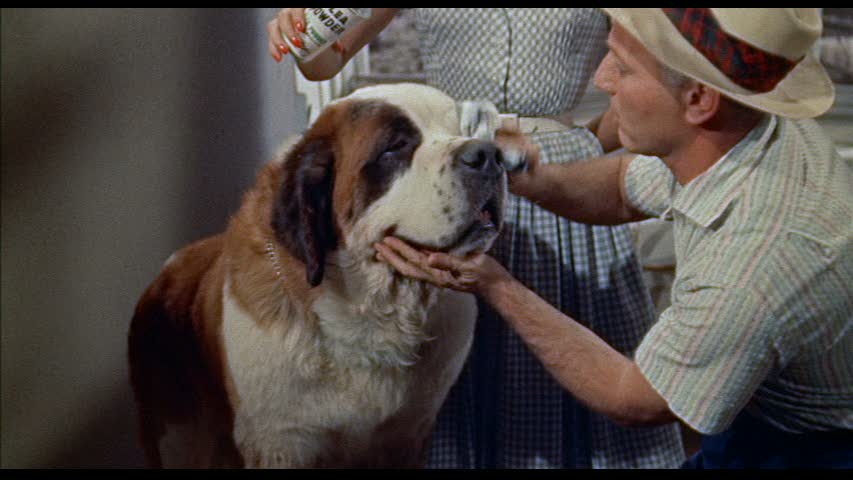 Imitation of Life (1959)
