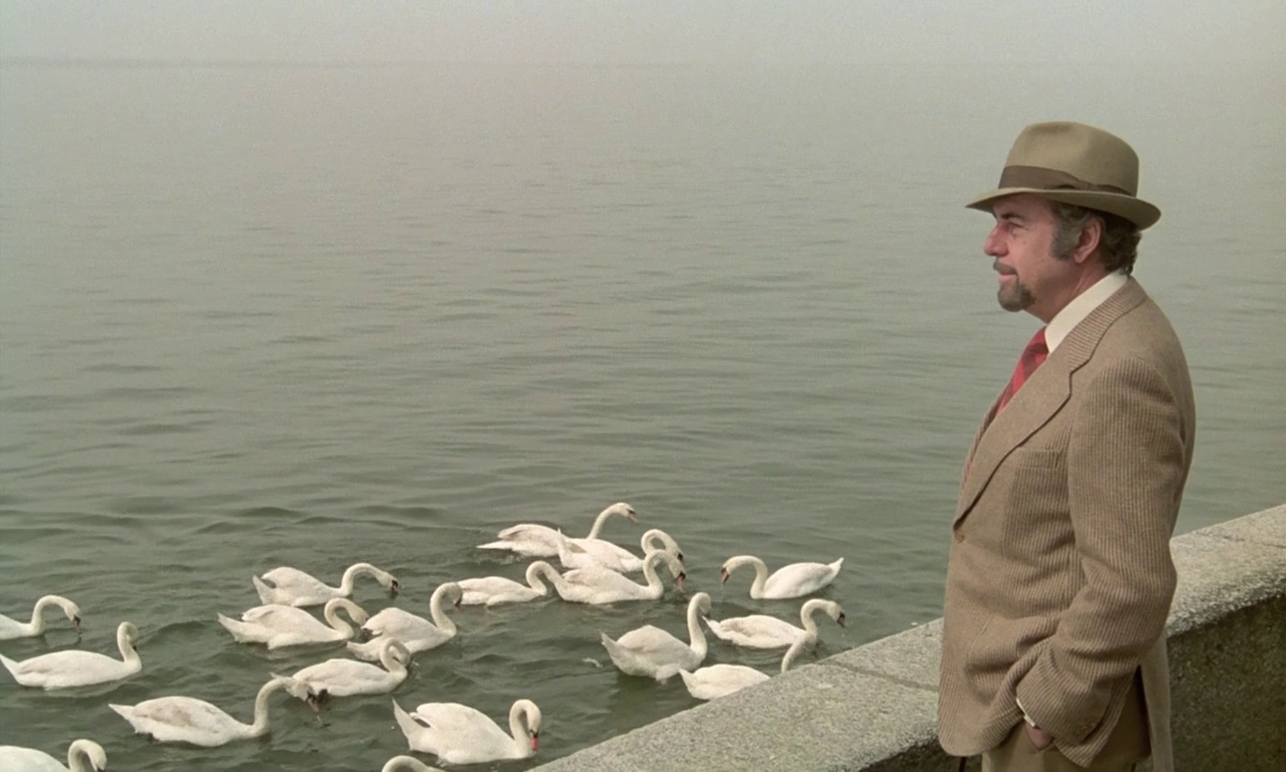 That Obscure Object of Desire (1977)