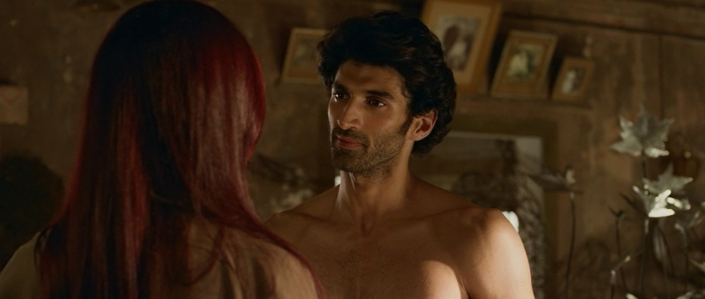 Fitoor                                  (2016)