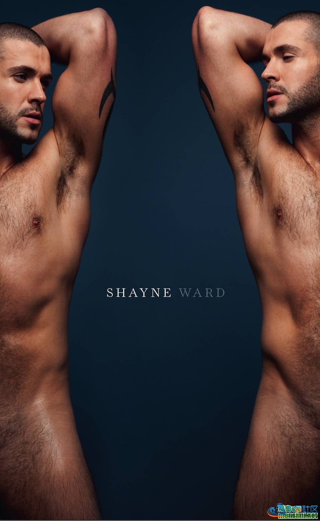 Shayne Ward.