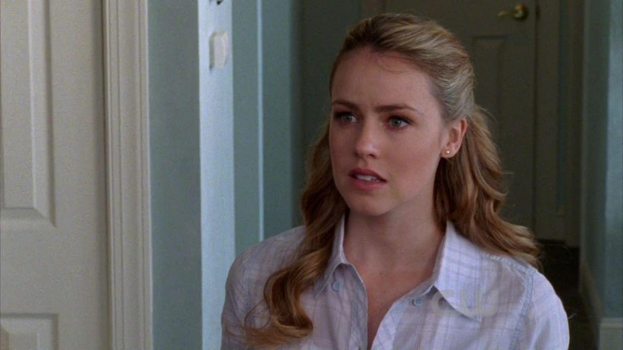 Amanda Schull