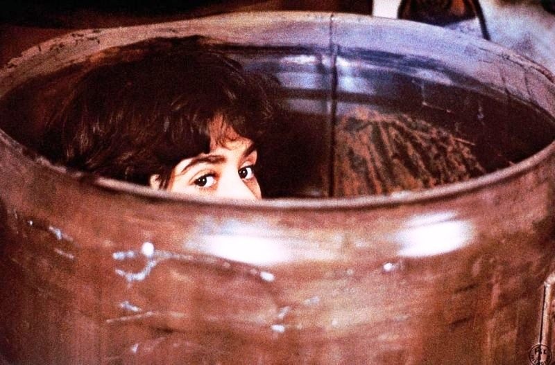 Wanted: Babysitter (1975) Wanted: Babysitter (1975)