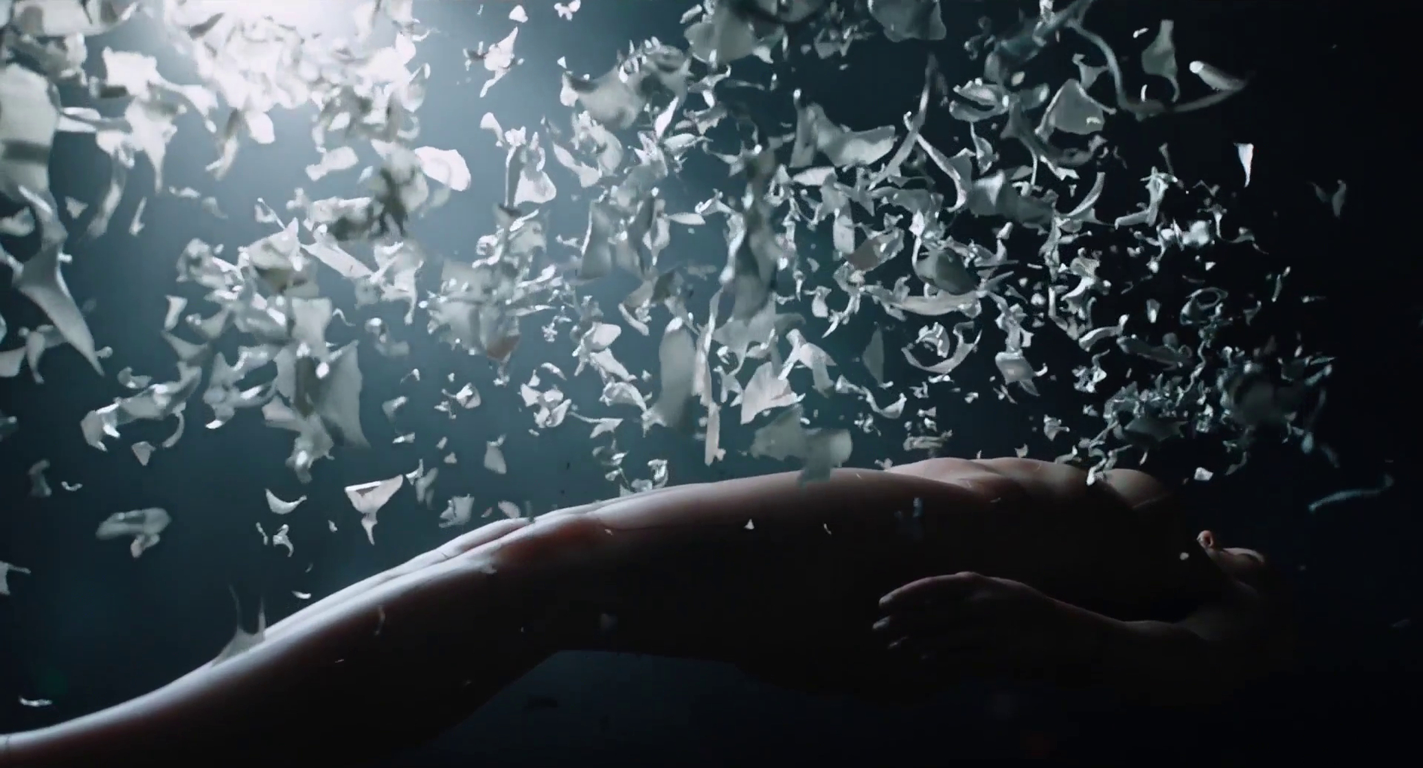 Ghost in the Shell Ghost in the Shell