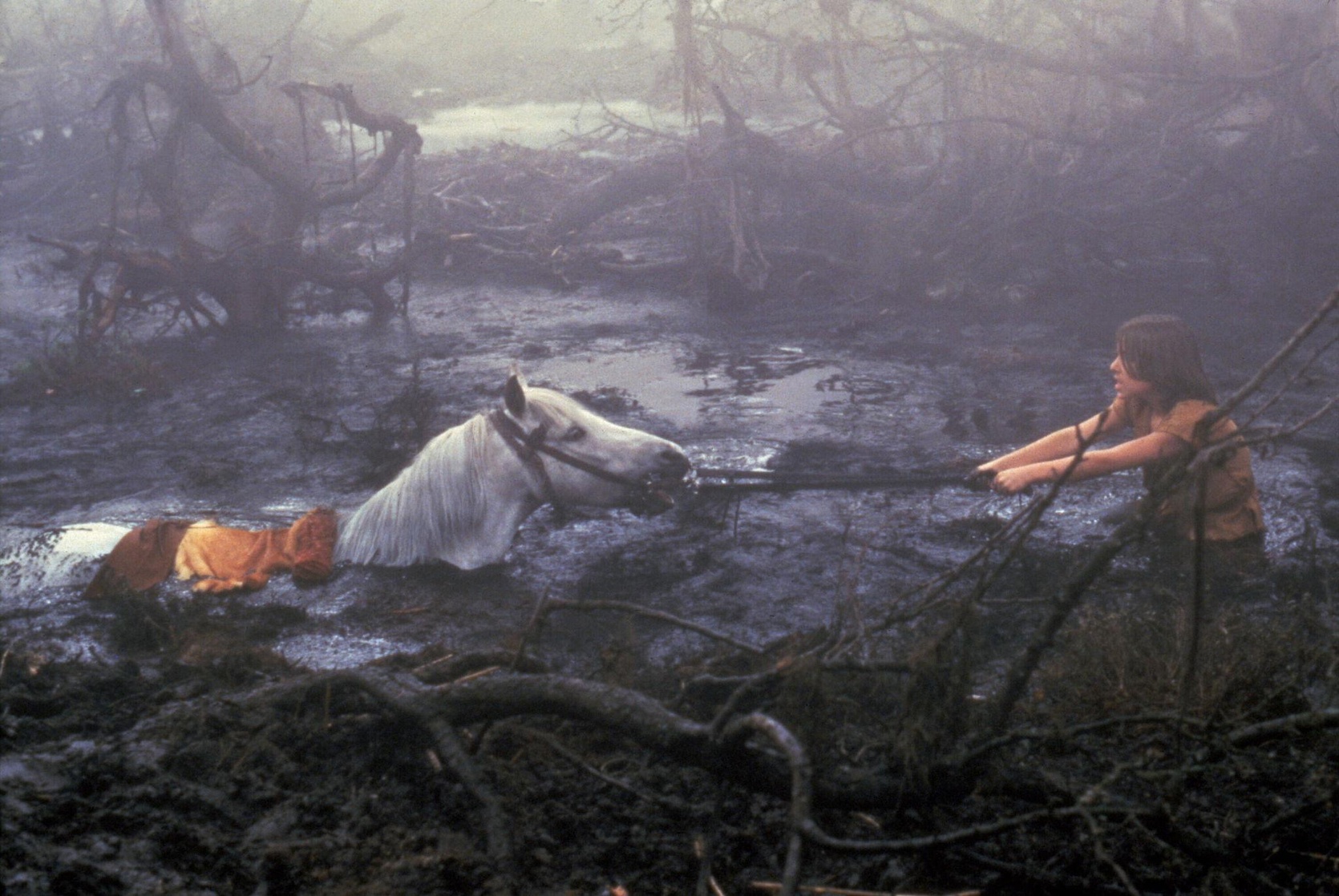 The NeverEnding Story
