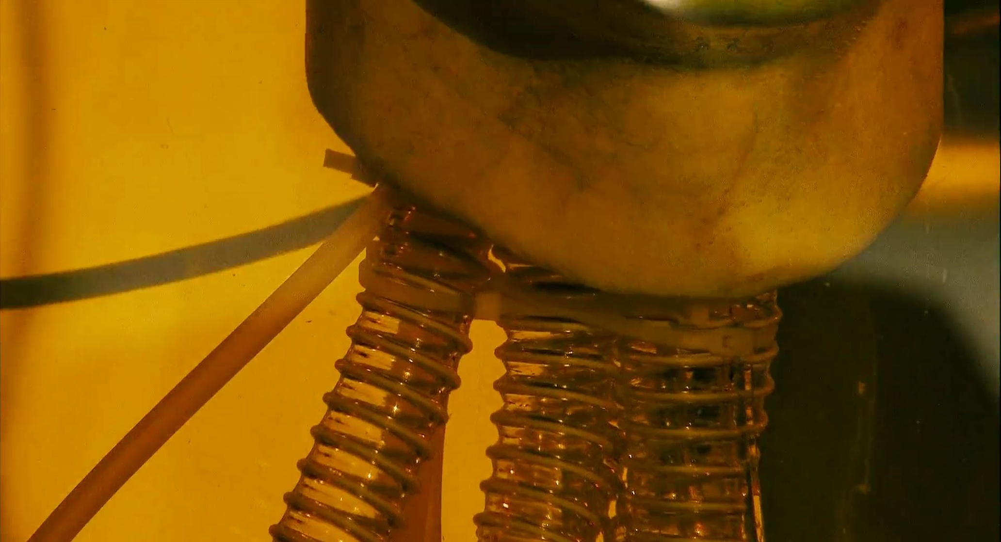 Crank 2: High Voltage