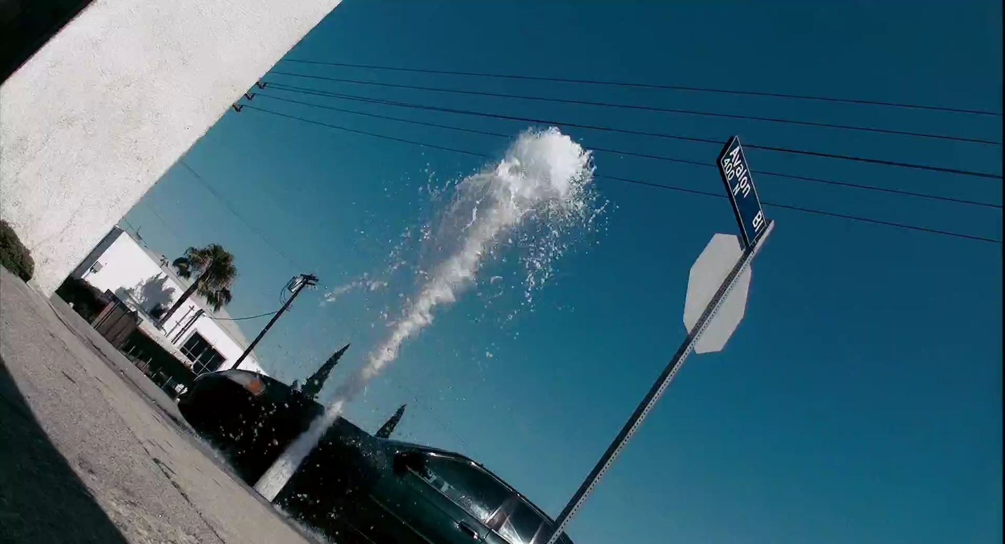 Crank 2: High Voltage