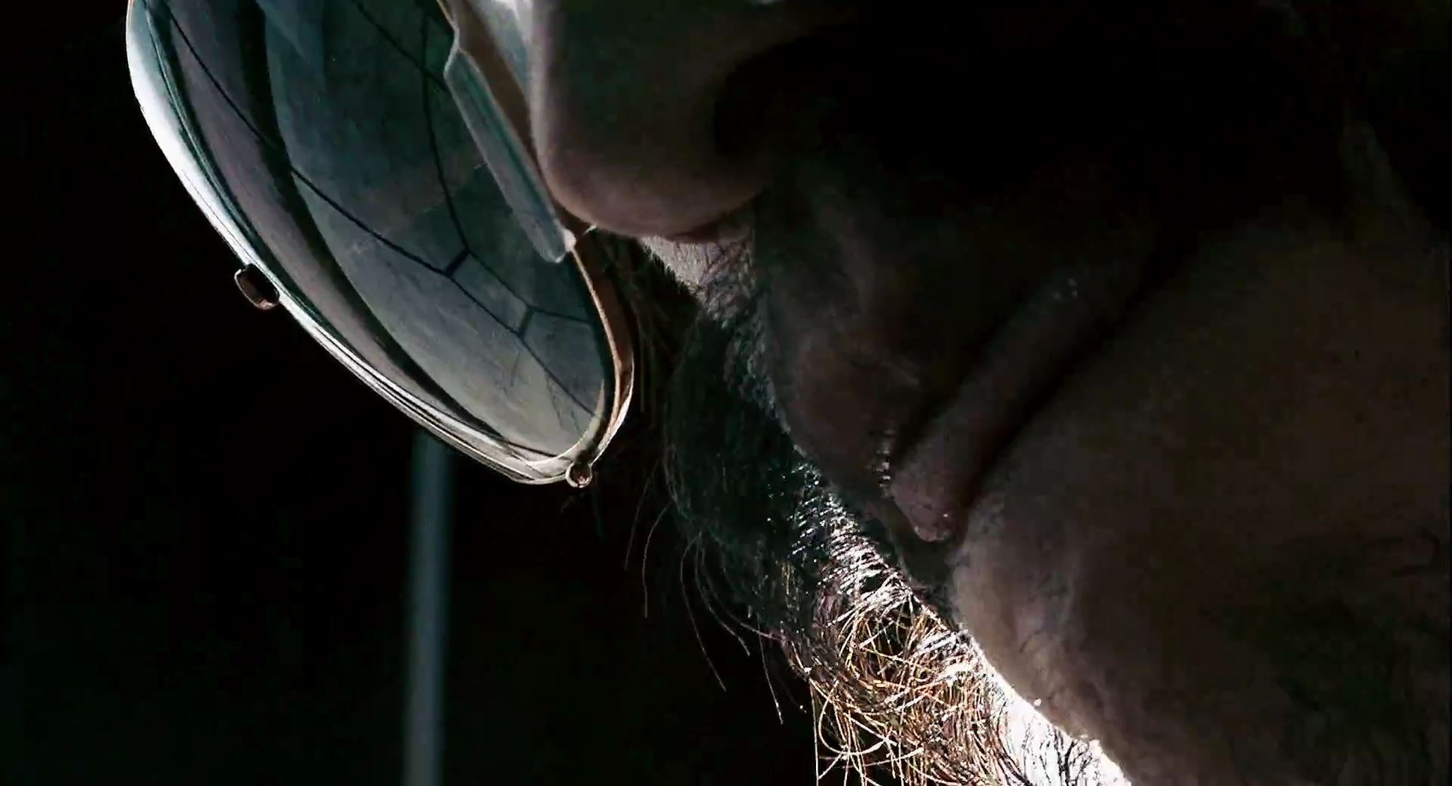Crank 2: High Voltage
