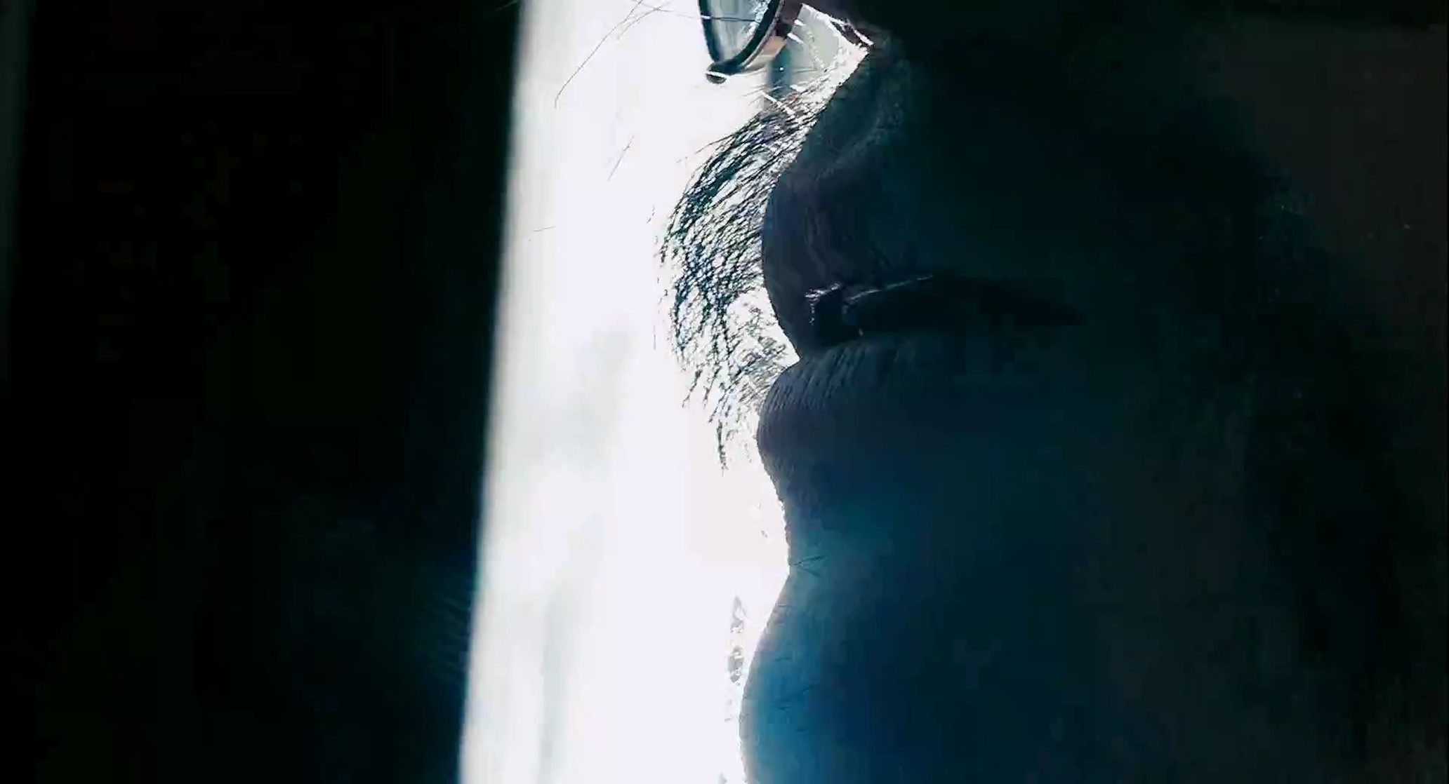 Crank 2: High Voltage