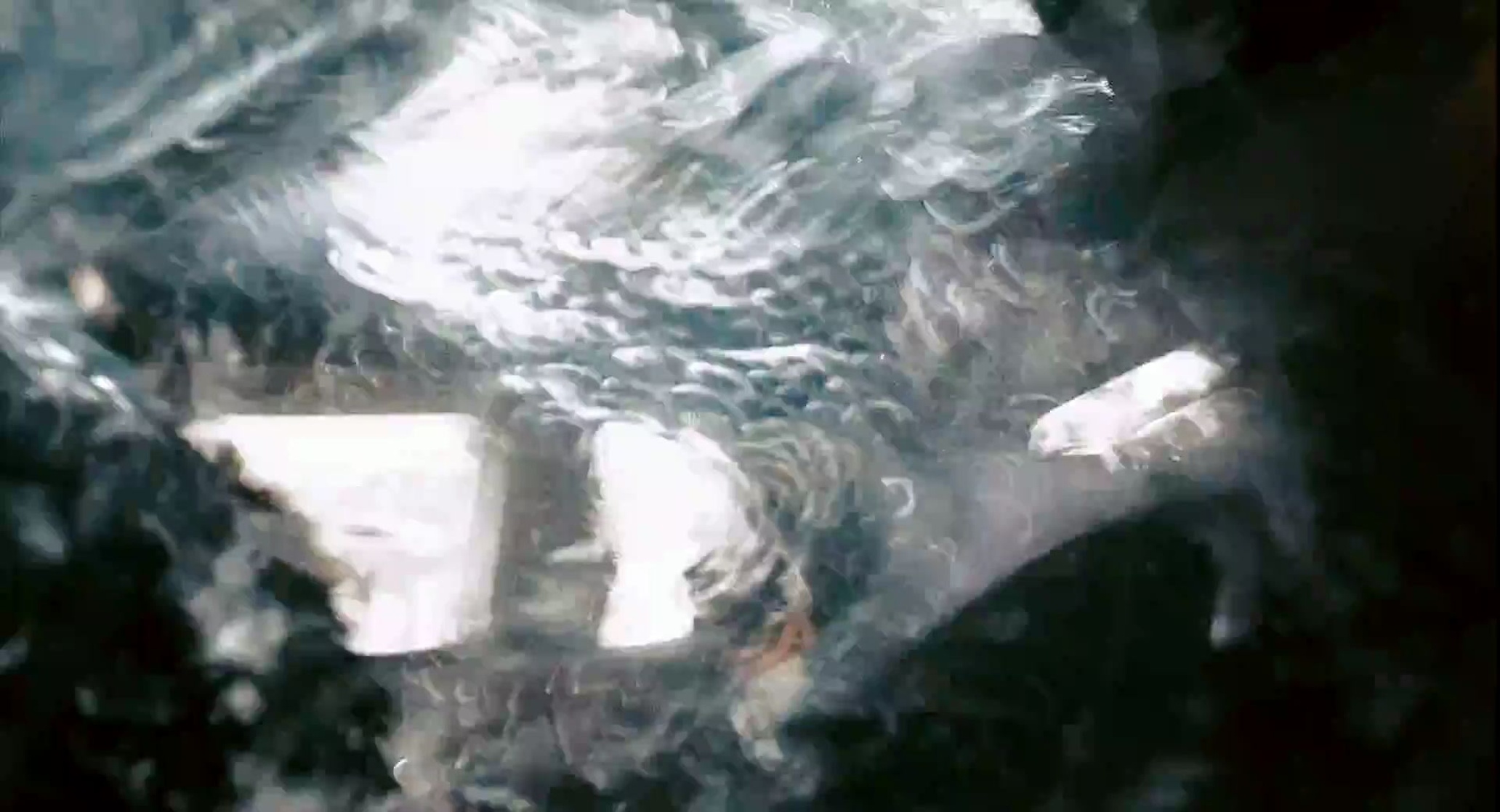 Crank 2: High Voltage