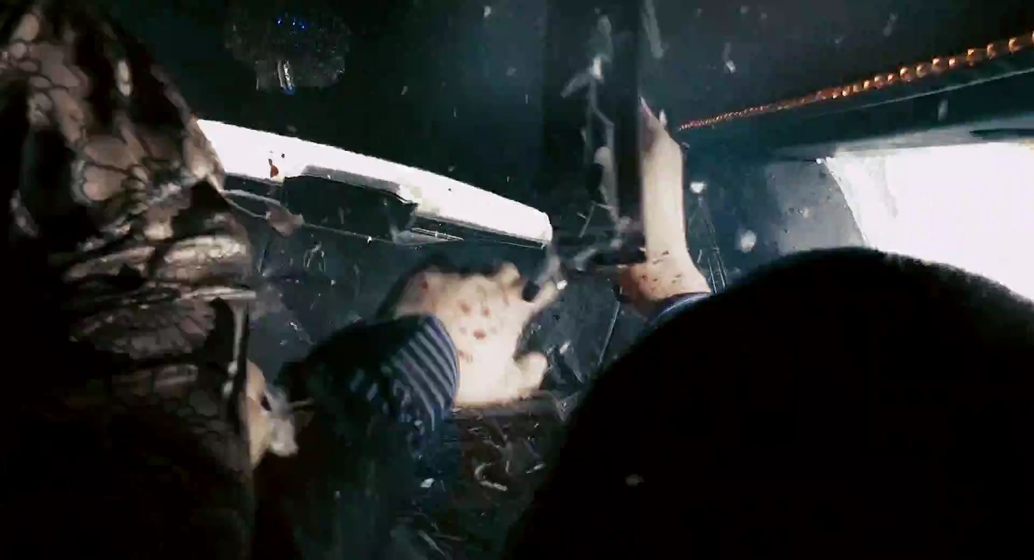 Crank 2: High Voltage