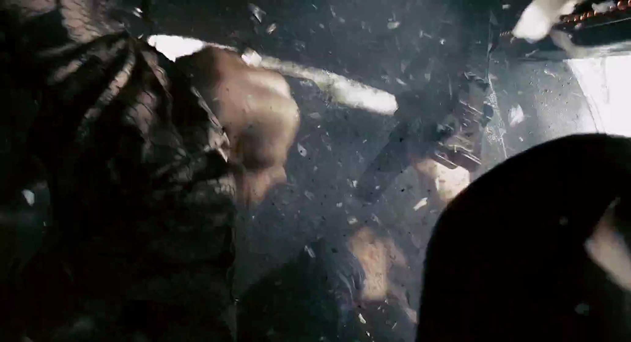 Crank 2: High Voltage