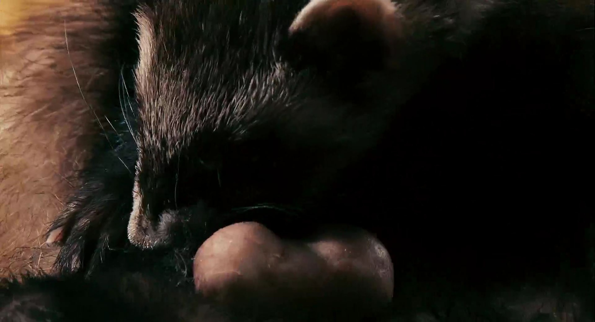 Crank 2: High Voltage