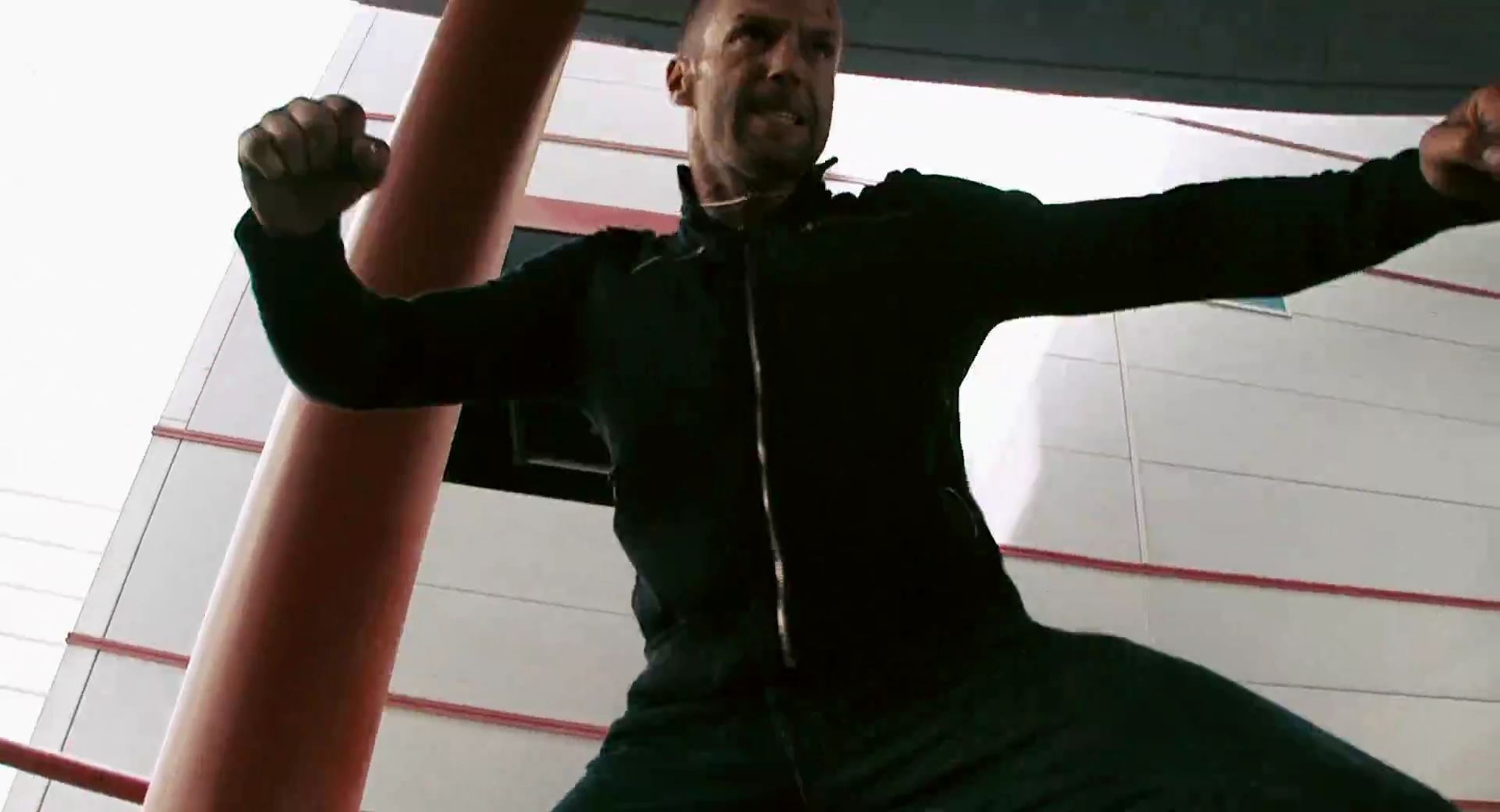 Crank 2: High Voltage