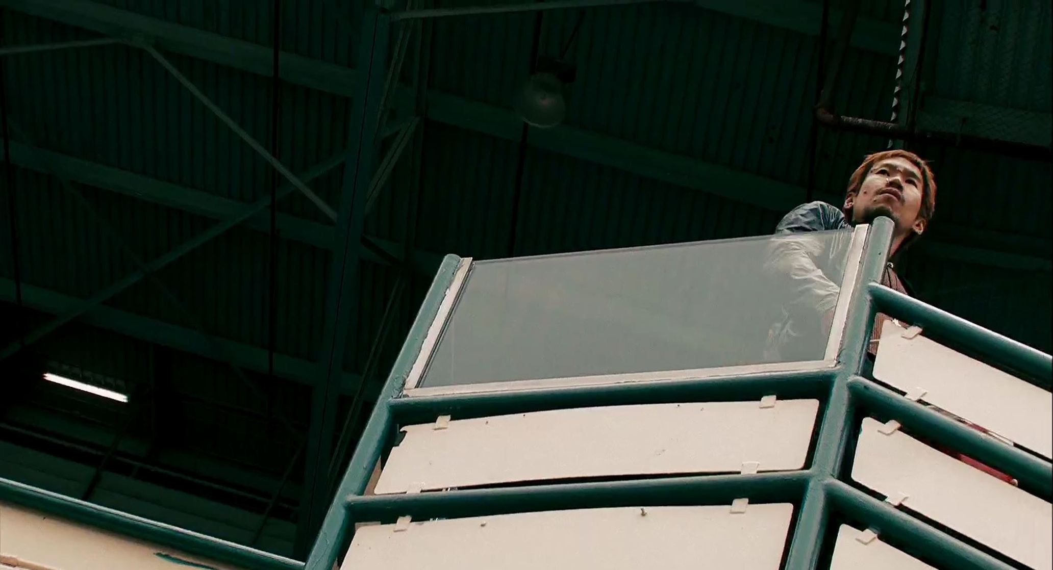Crank 2: High Voltage