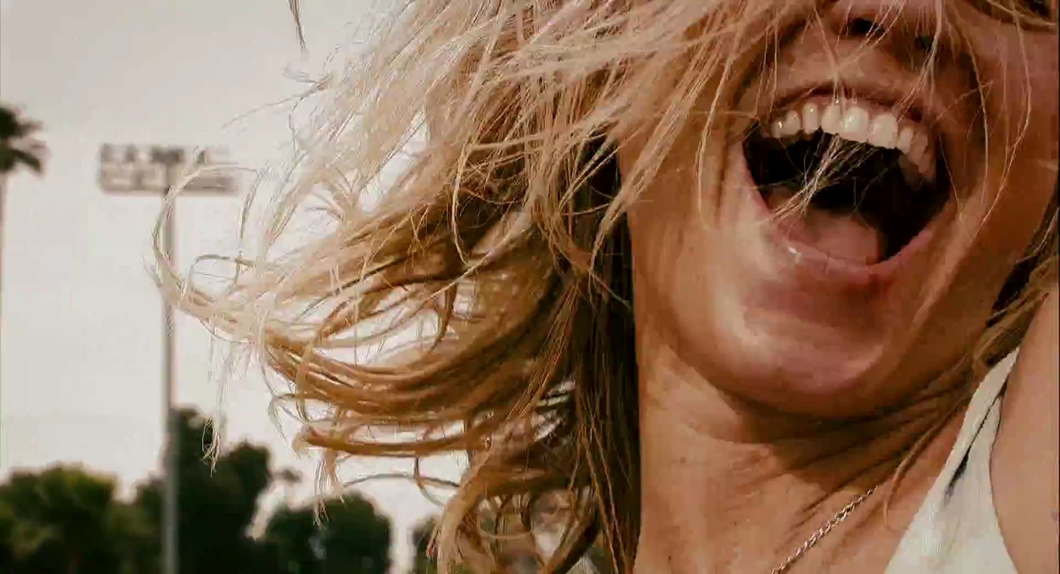Crank 2: High Voltage