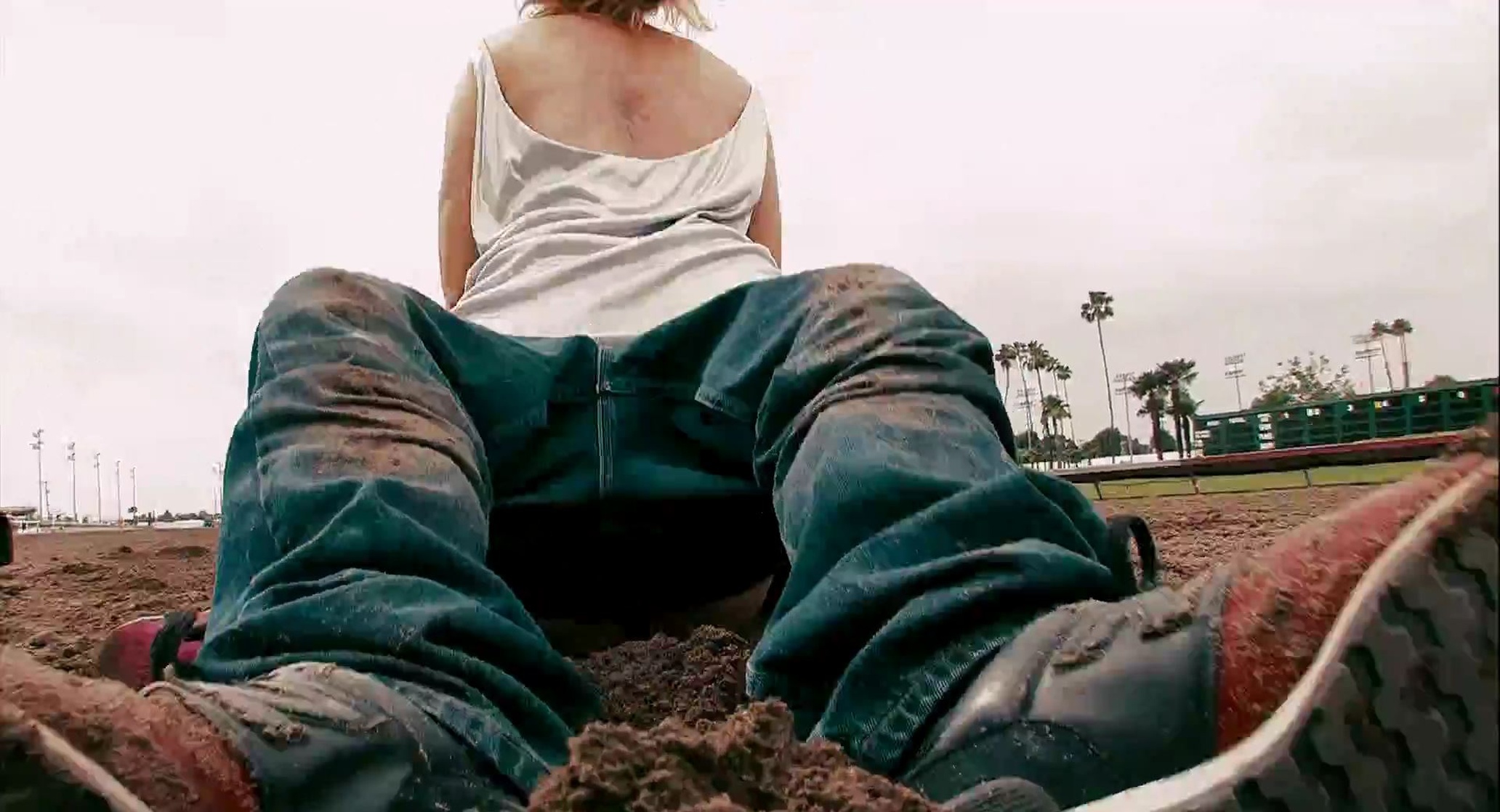 Crank 2: High Voltage