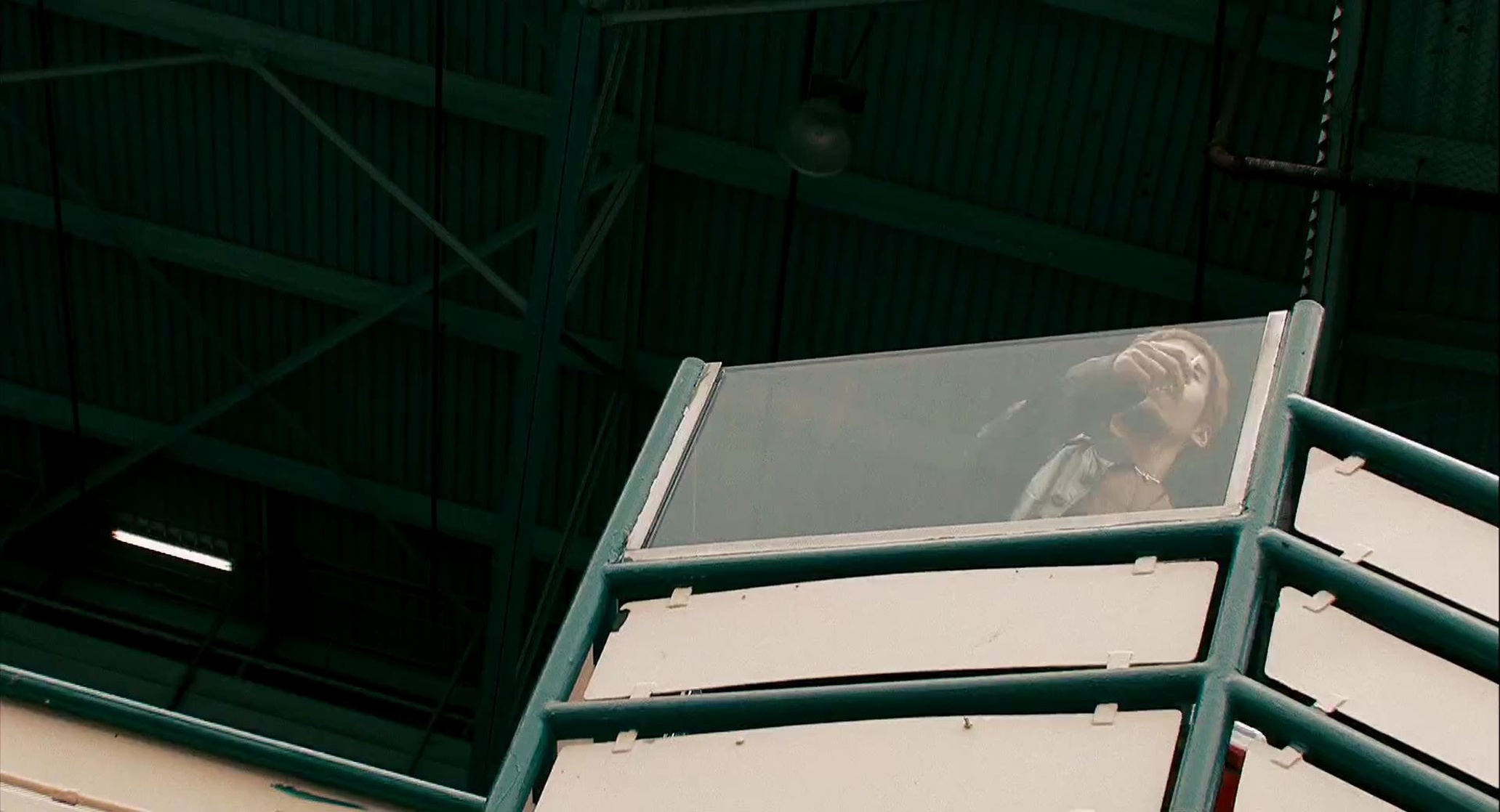 Crank 2: High Voltage