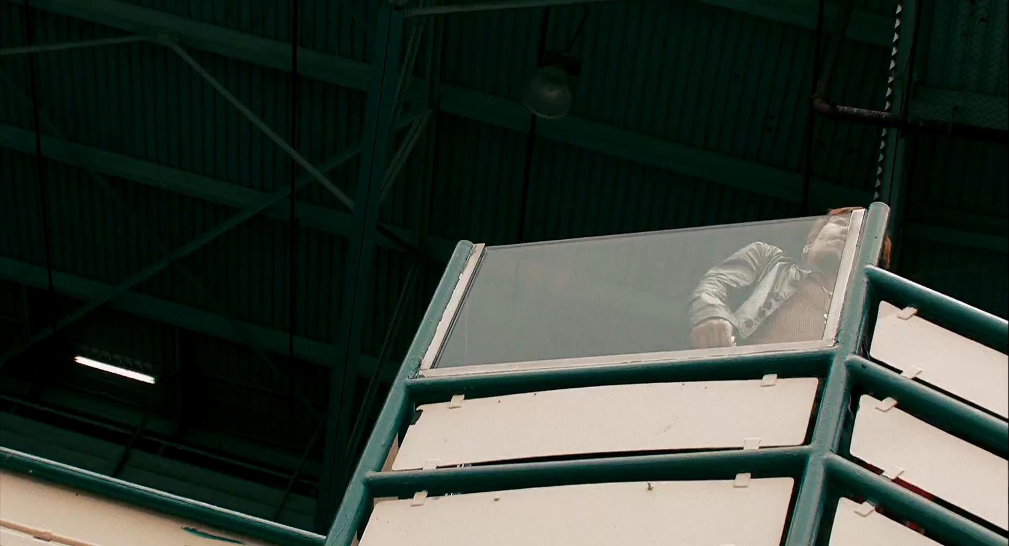 Crank 2: High Voltage